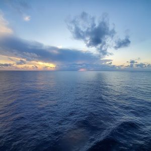 Meet your Posher, Betty